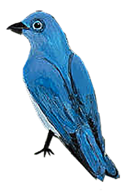 Bluebird with black beak and black legs facing left. This is part of the Oracle of Rewilding's illustrations.
