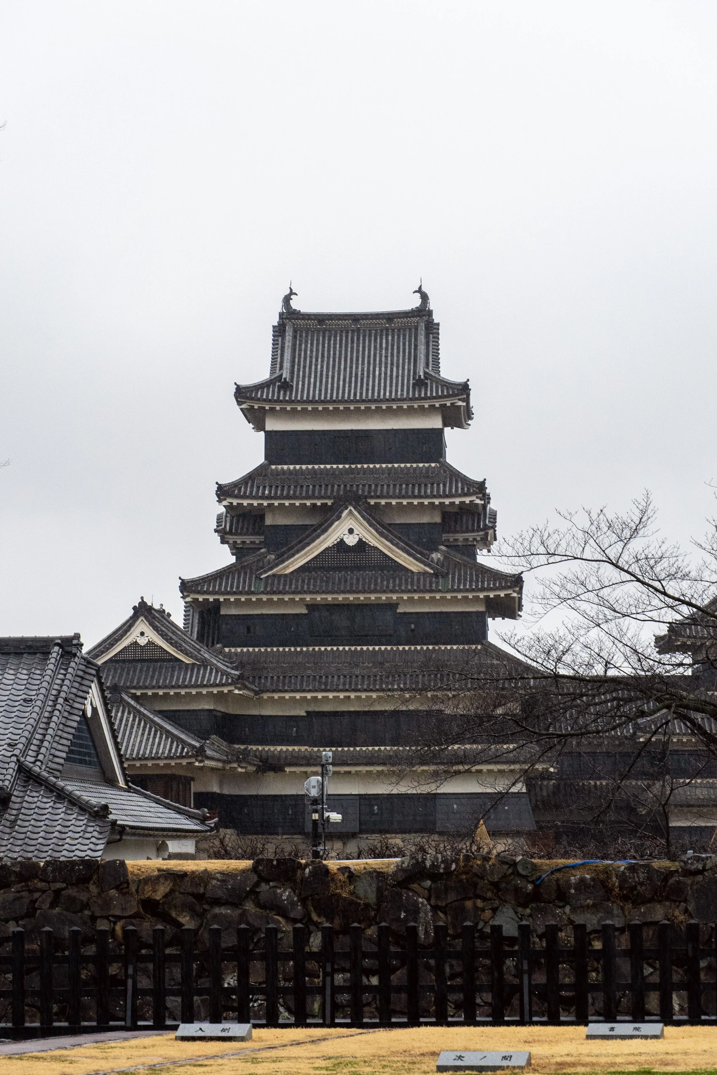 DSC09584.jpg