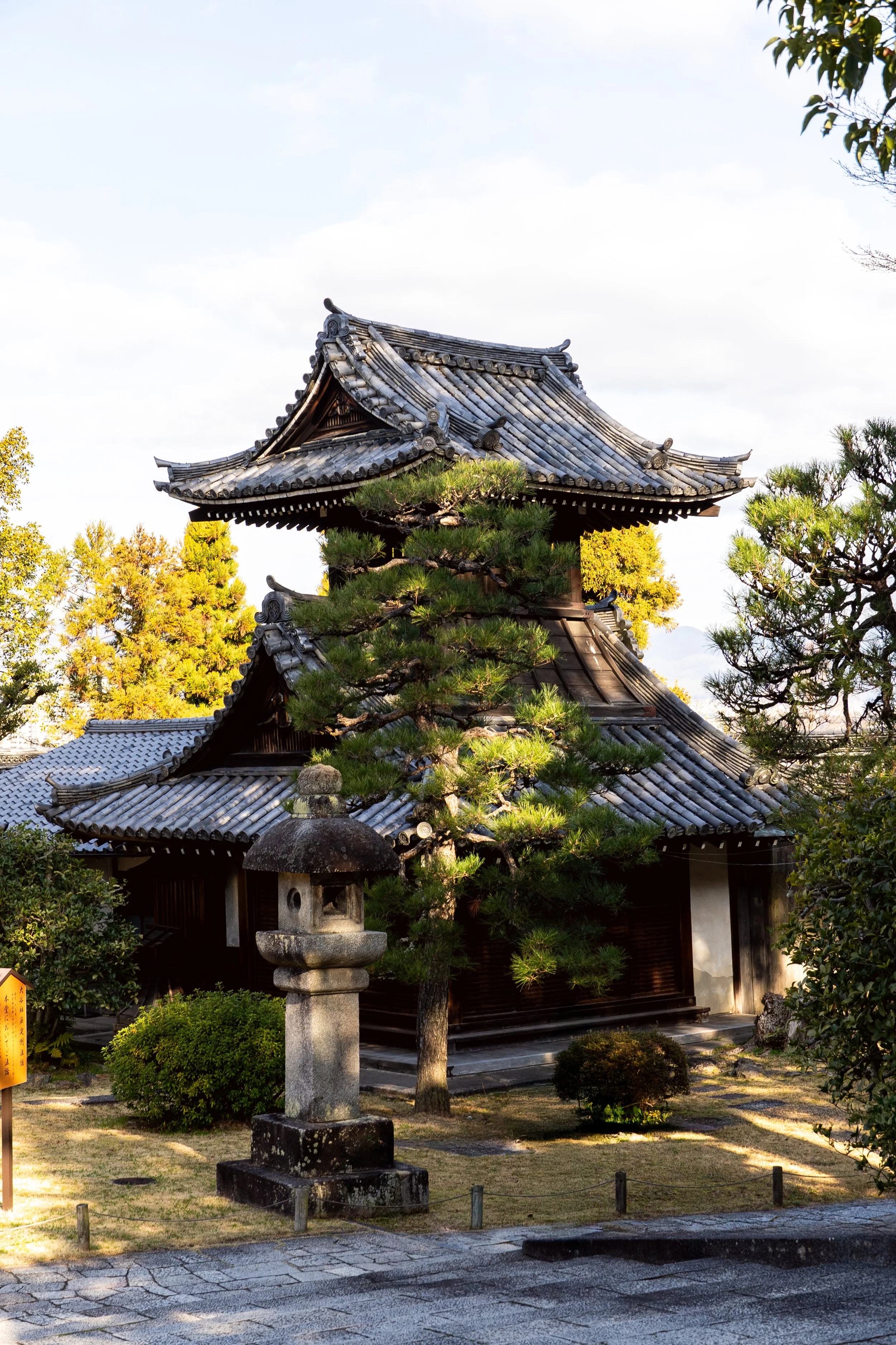 DSC09773-Edit.jpg