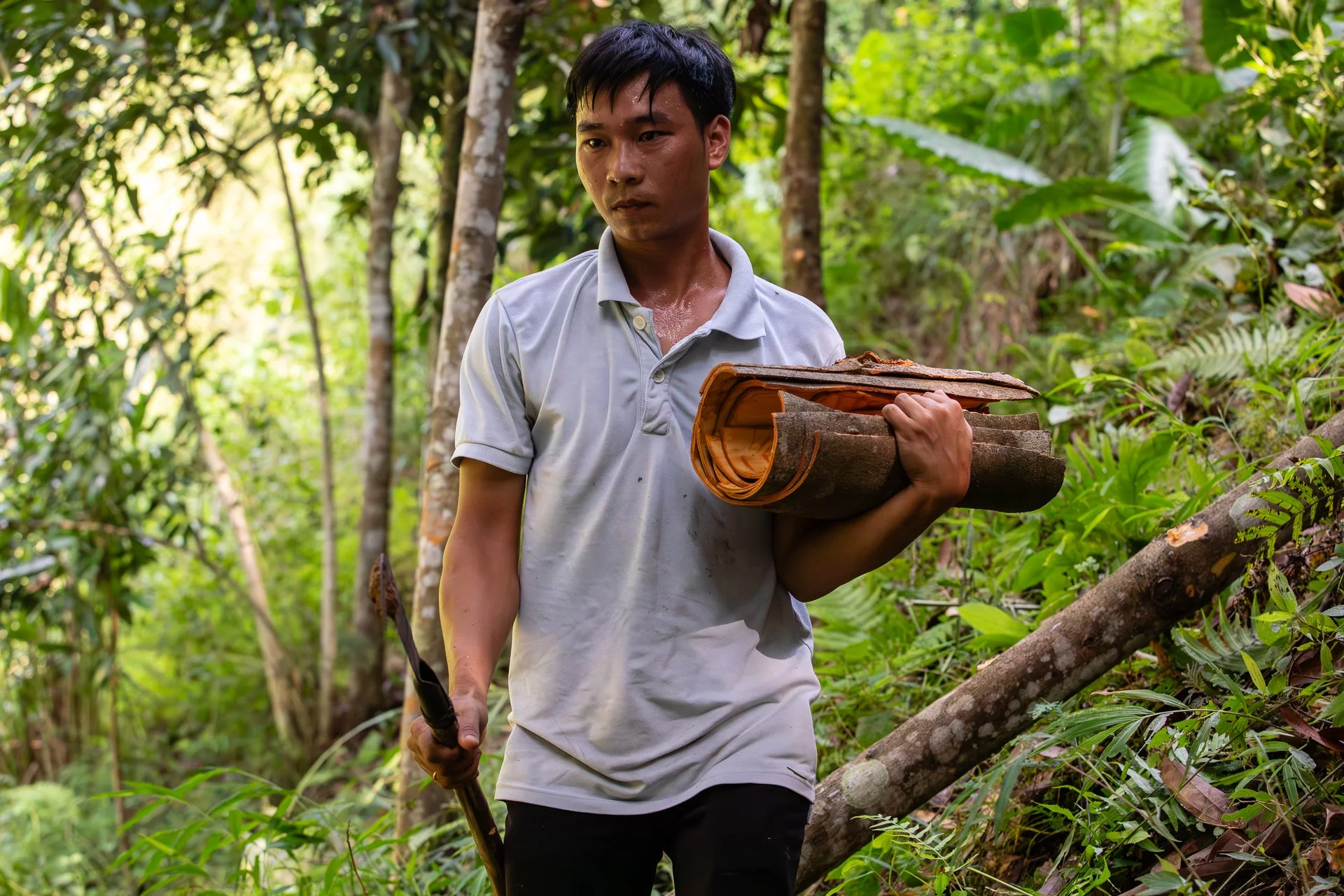01CS4546.jpg