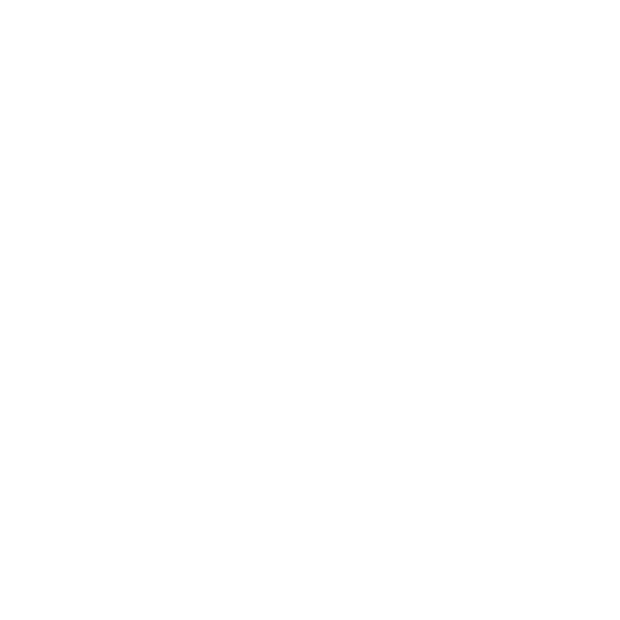 INDIVISIBLE TENNESSEE