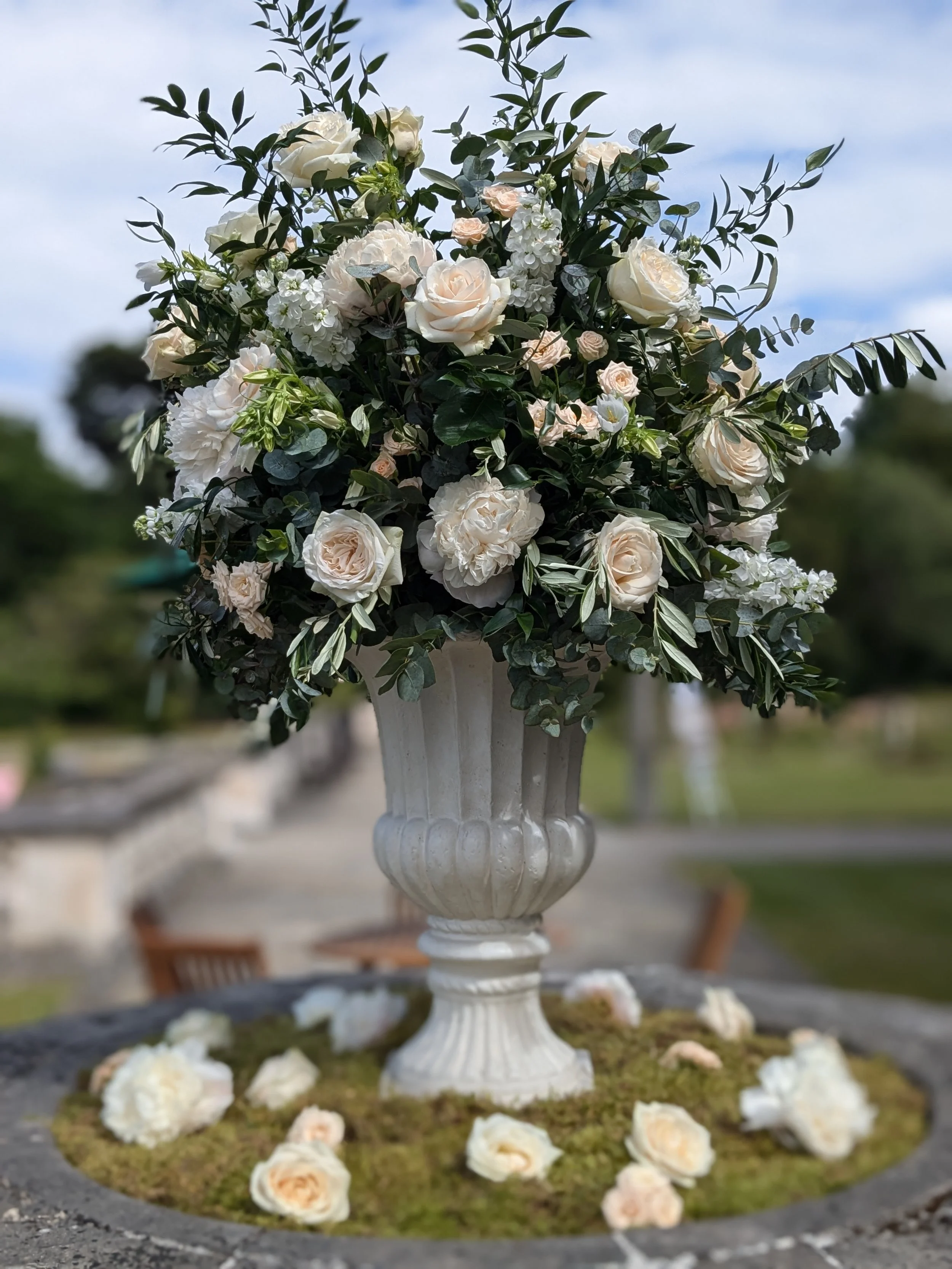 Grove house -  Gardenia of London