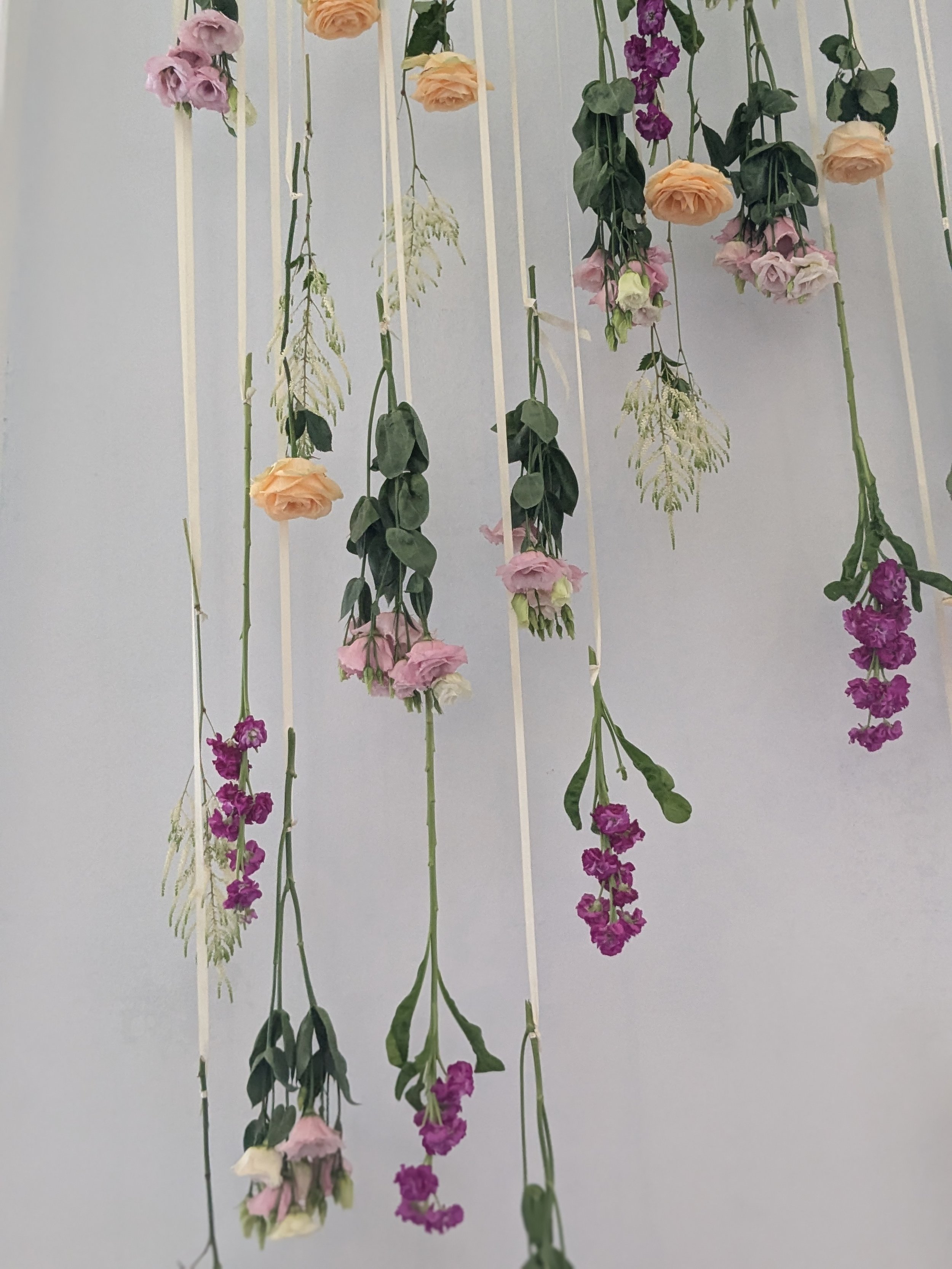 Institute of Contemporary Arts -  Gardenia of London