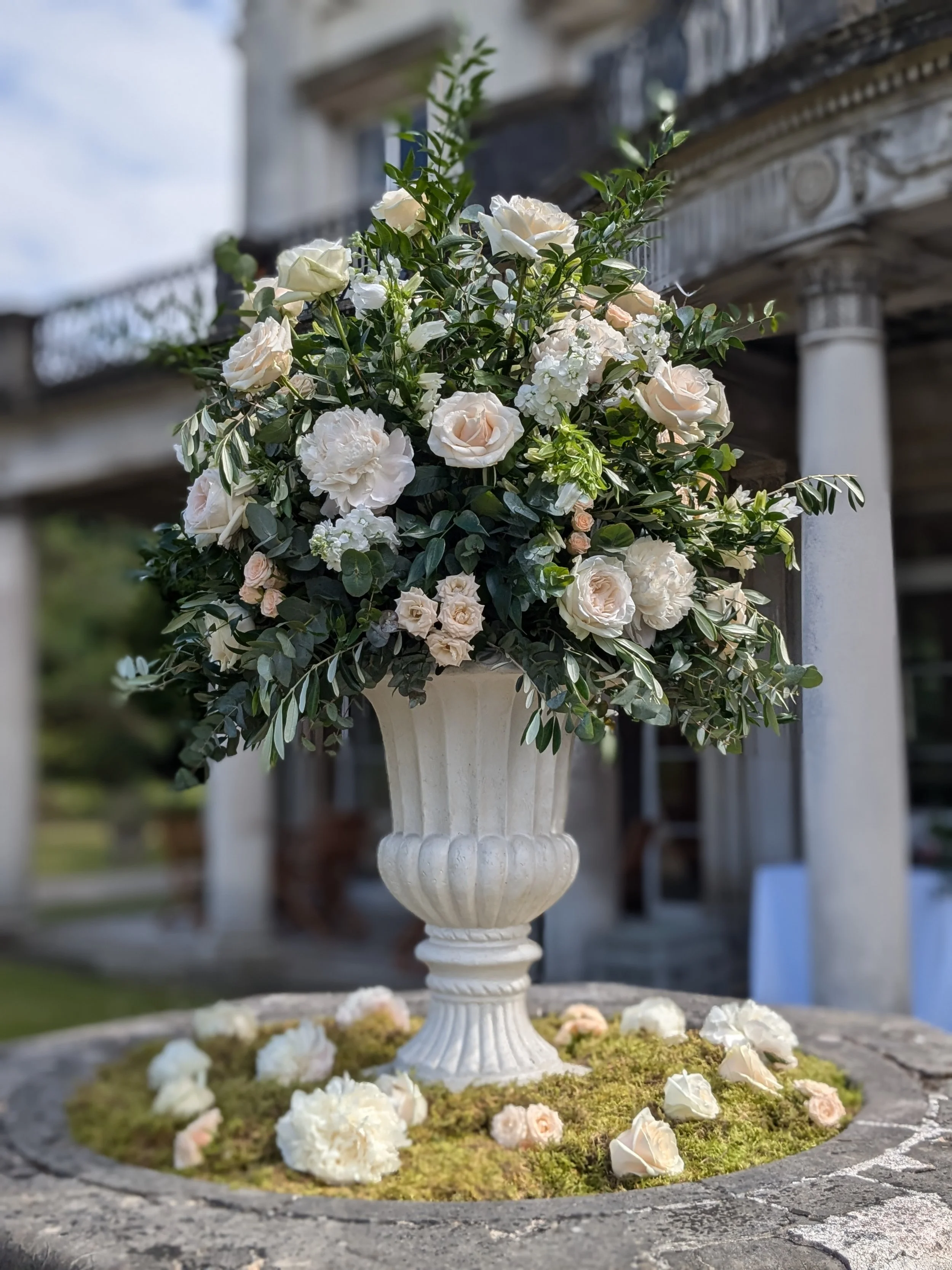 Grove house -  Gardenia of London