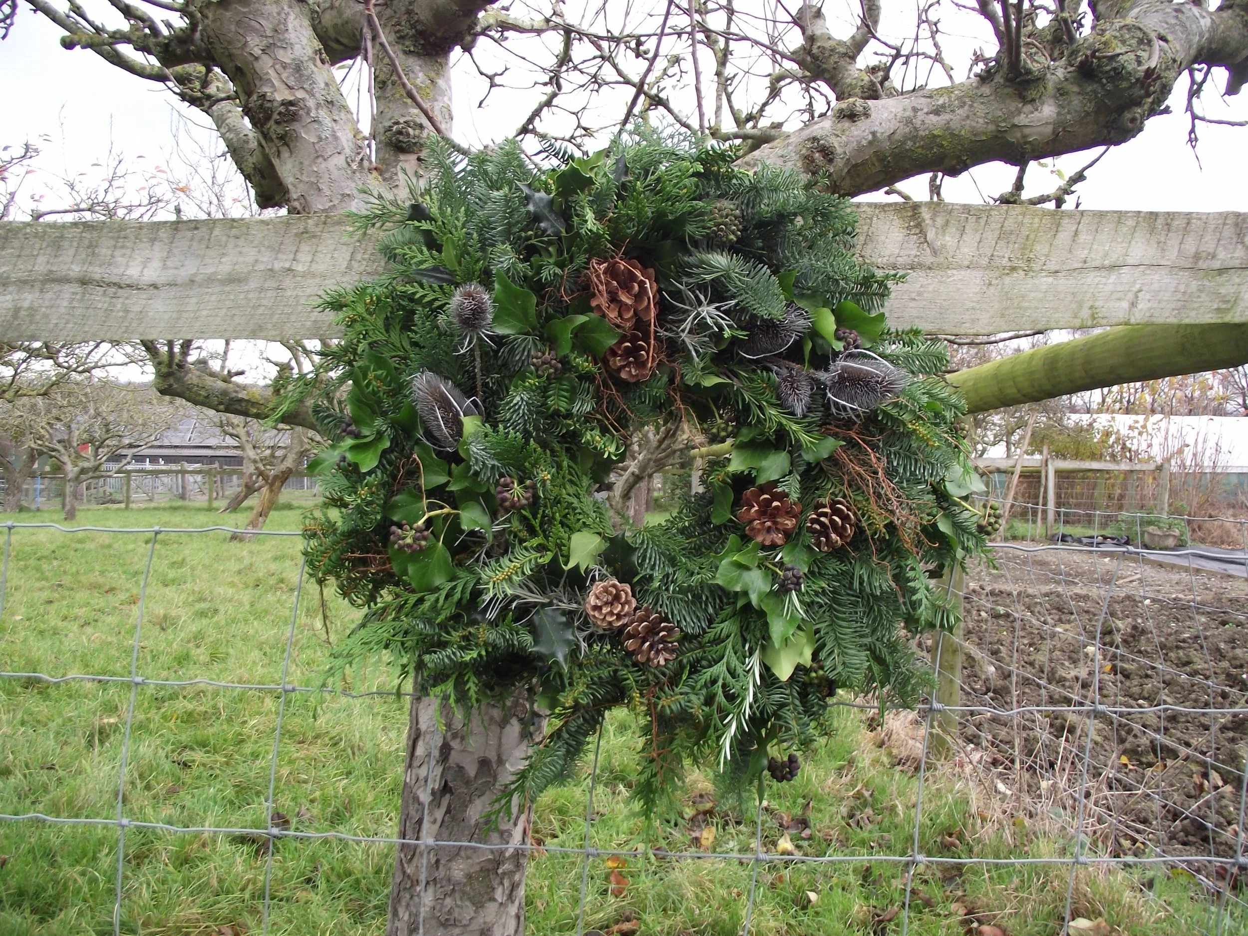 A tree trunk decorated with a variety of greenery, pinecones, and berries, attached as a festive decoration, on a wire fence in a garden setting.
