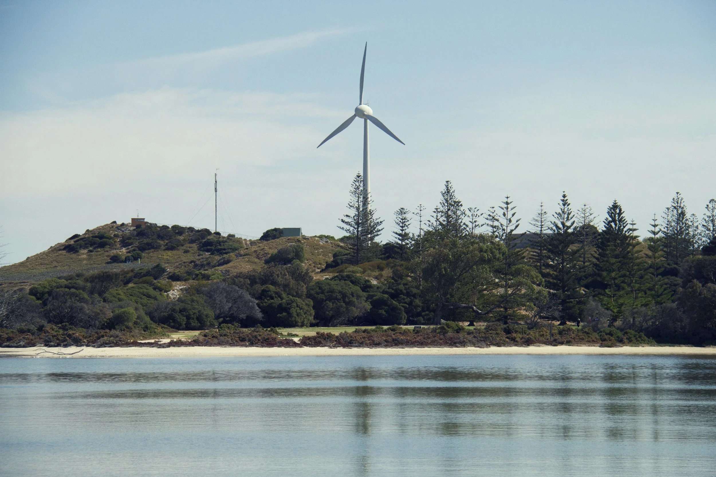 A wind turbine on a hillside near a body of water, with a forest of tall pine trees and a small building on the hilltop.