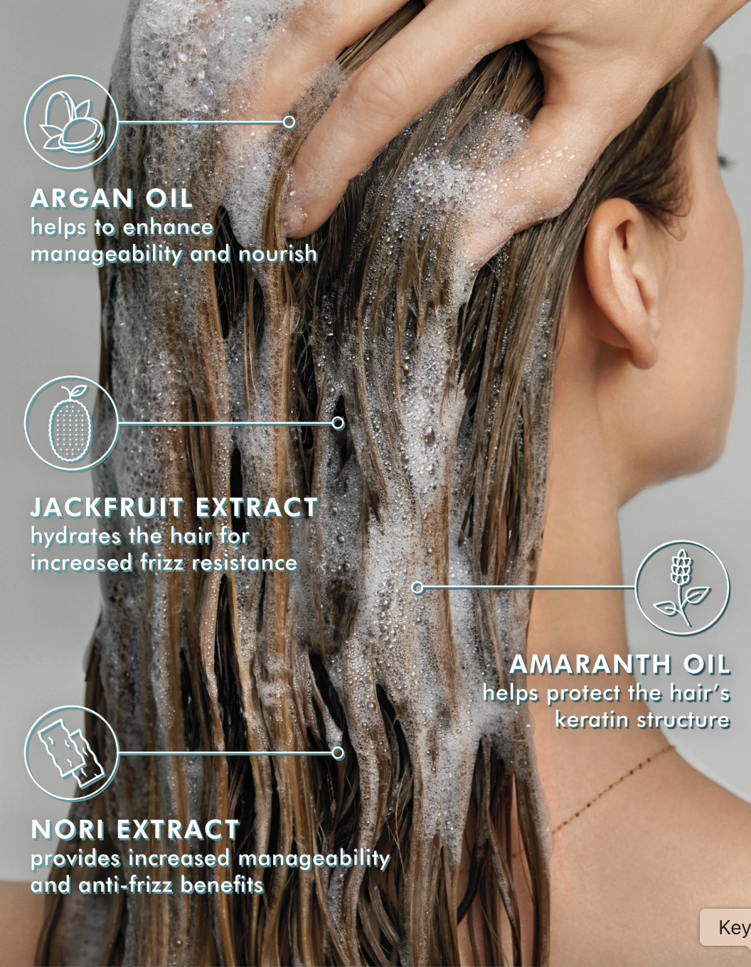 Tyler & Co._Frizz Control Shampoo_3.png