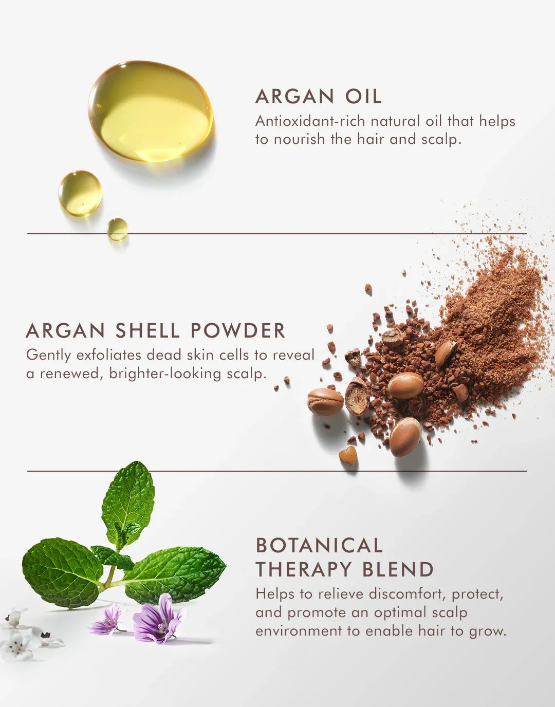 Purifying Scrub_tyler & co._3.webp