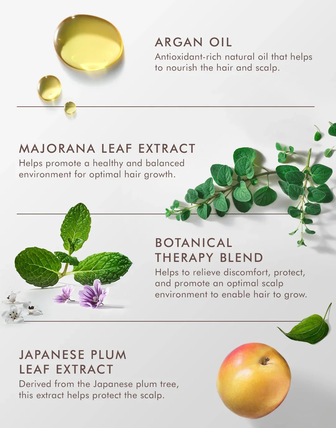 Revitalising Scap Tonic_Tyler & Co._2.webp