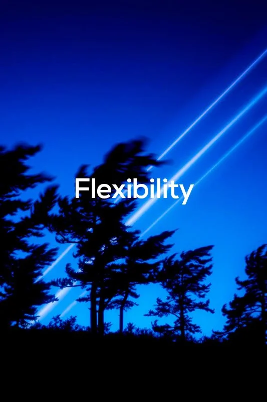 Night sky with silhouetted trees and diagonal light streaks, with the word 'Flexibility' in the center.
