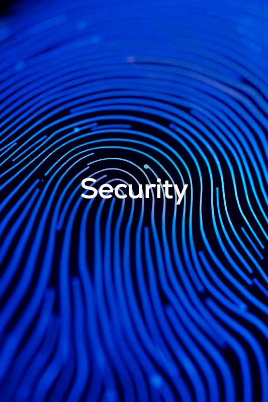 Digital fingerprint pattern with the word 'Security' in the center, in blue and black tones.