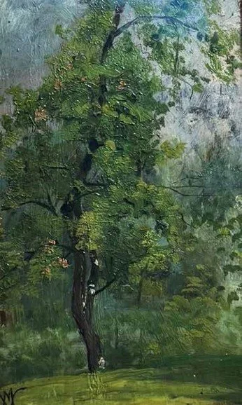 Mario Viani