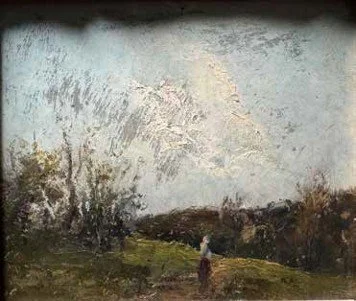 Cicita