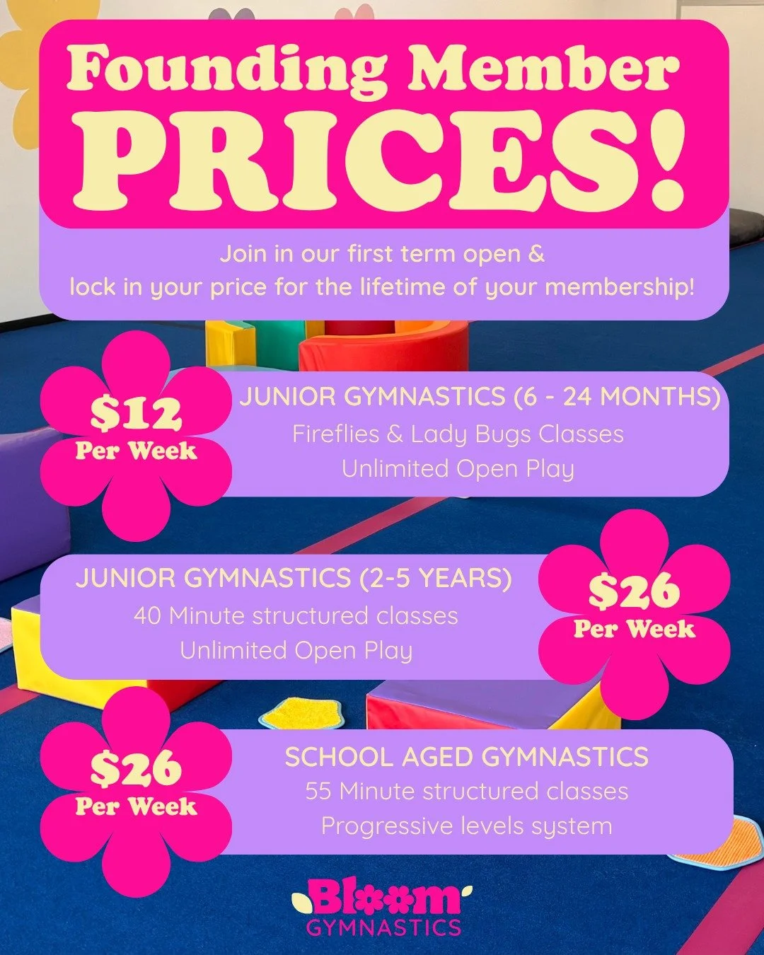 Book your spot before October and lock in the special Founding Members price!

Even better, this price will stay locked in for the lifetime of your membership. 

Our Junior Gymnastics memberships also include UNLIMITED access to Open Play sessions, s
