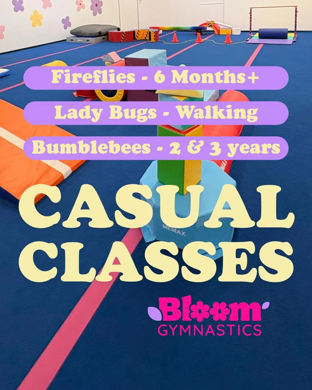 At Bloom Gymnastics, our thoughtfully designed programs help little ones develop balance, coordination, strength and confidence.

Every activity has a purpose, with experienced coaches guiding you and your child through challenges suited to their sta