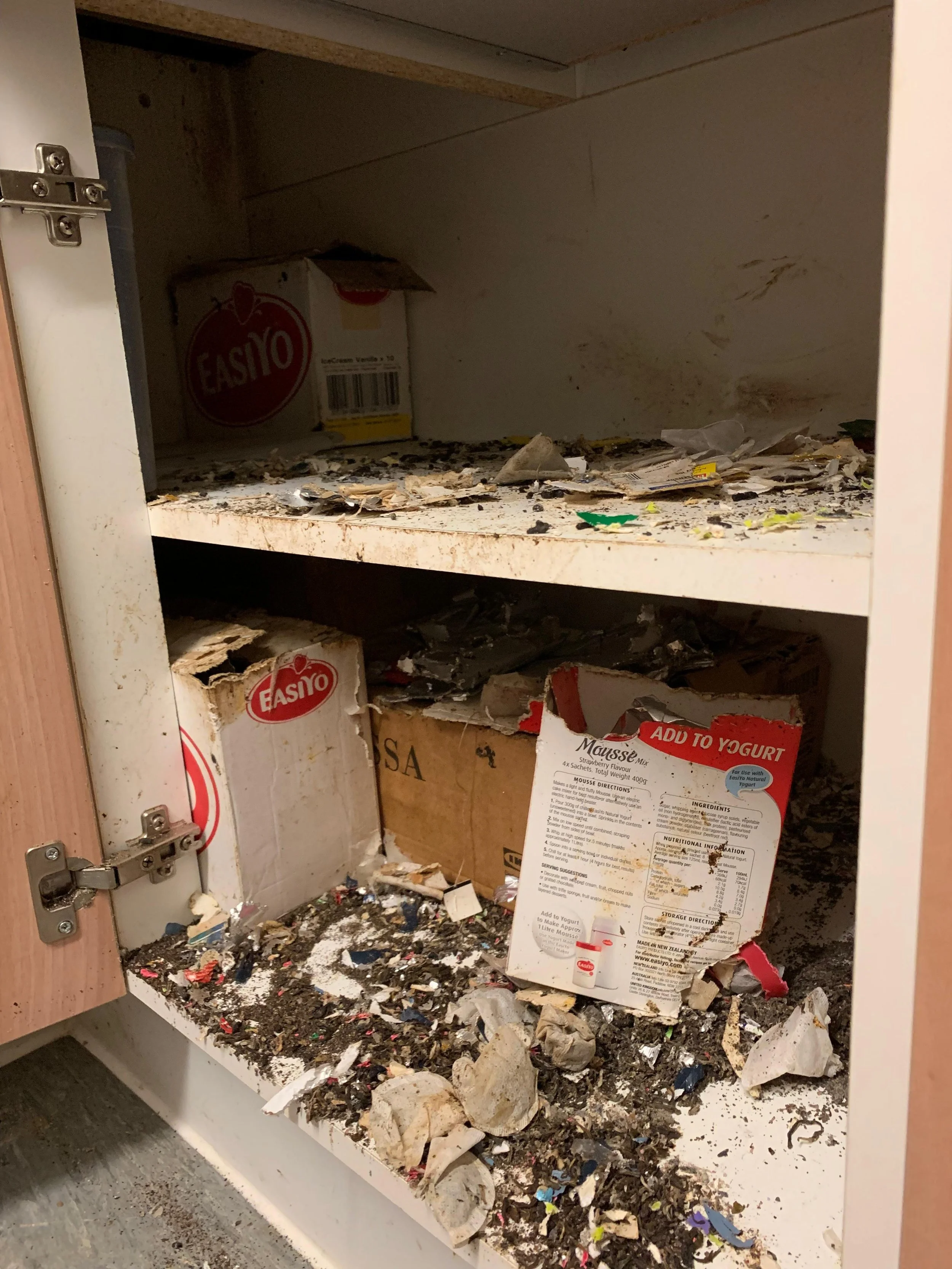 Dirty kitchen cabinet with scattered trash, rat droppings, dirt, and mold.