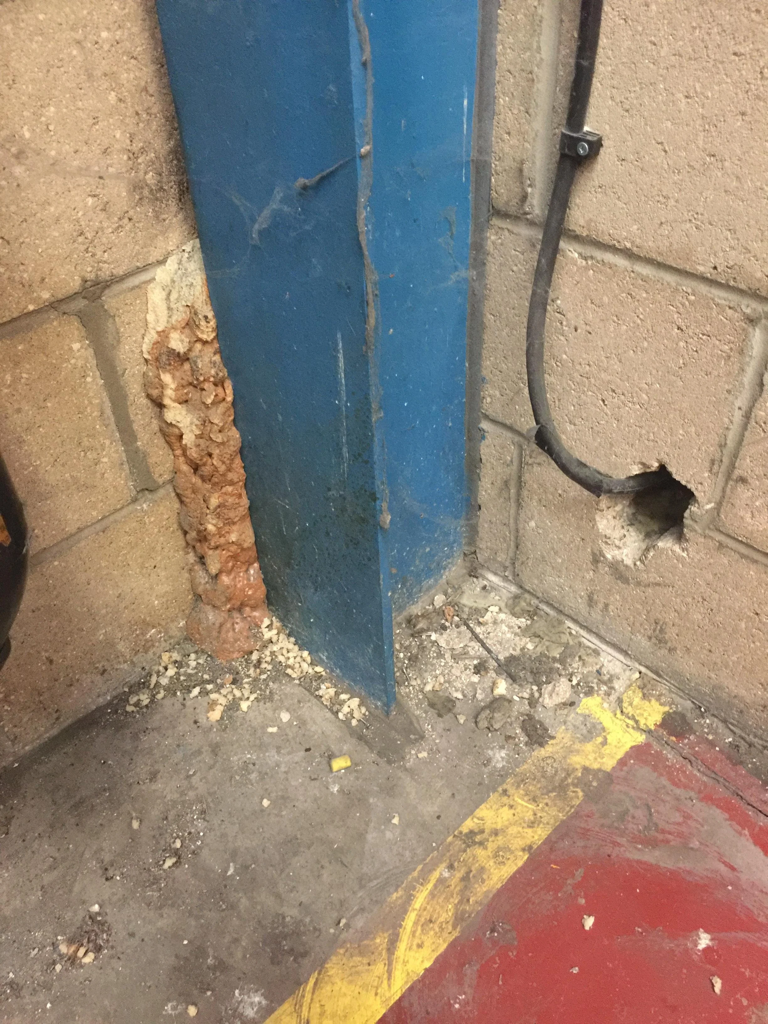 A close-up of a warehouse area on a concrete floor. Signs of rodent activity can bee seen leading behind the steel beam. There is a black cable or pipe secured to the wall on the right and a yellow and red painted line on the floor.