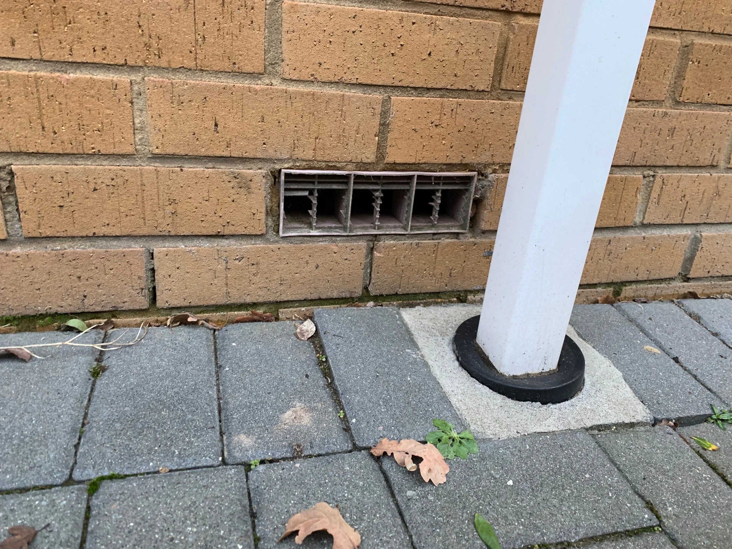 A brick wall with a vent near the ground, rodents have gnawed through the vent. There is a white downpipe and some dry leaves and small green plants on the ground.
