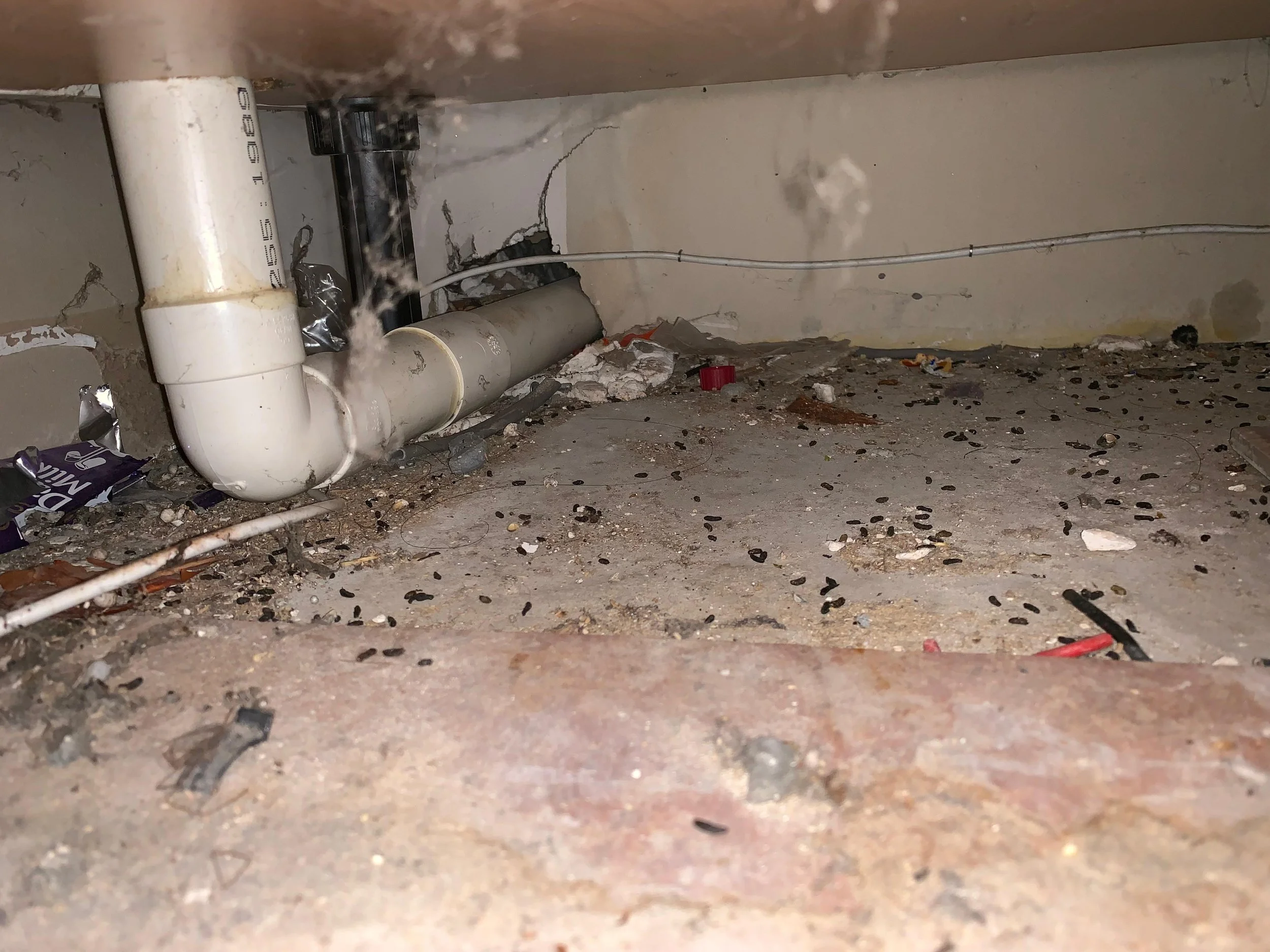 Underneath a sink with visible pipes, mouse droppings, dust, and dirt scattered on the dusty floor, with some broken pieces and small trash.