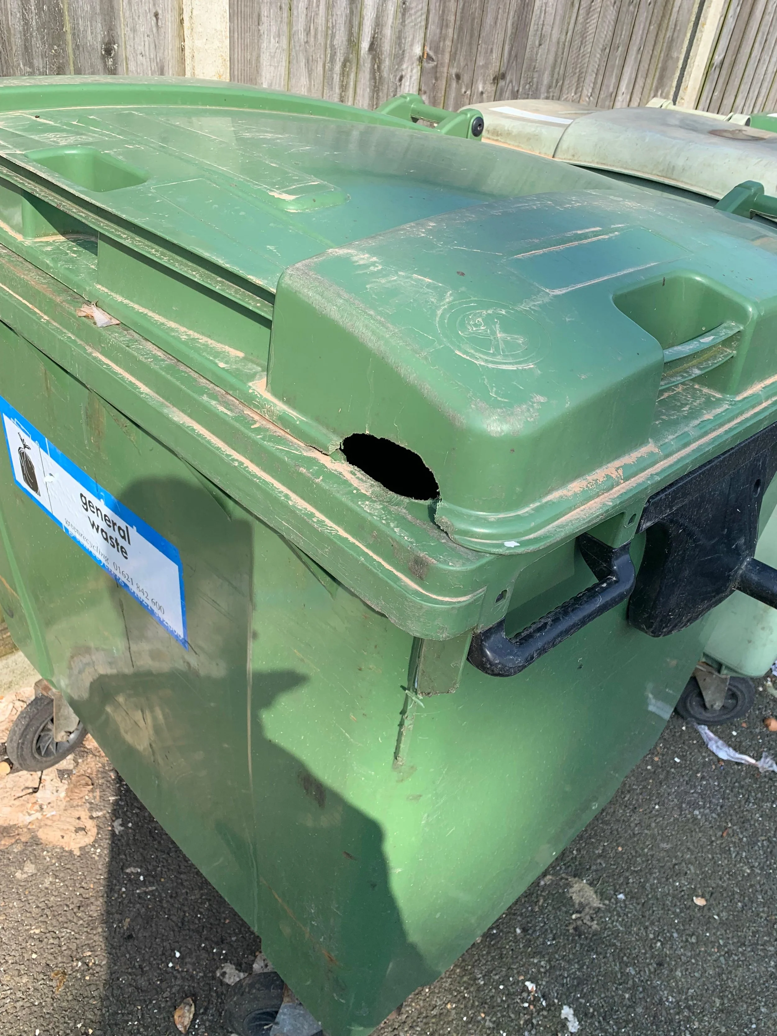 A green outdoor trash dumpster with a large rodent hole gnawed on the side, situated on a asphalt surface with a wooden fence in the background.
