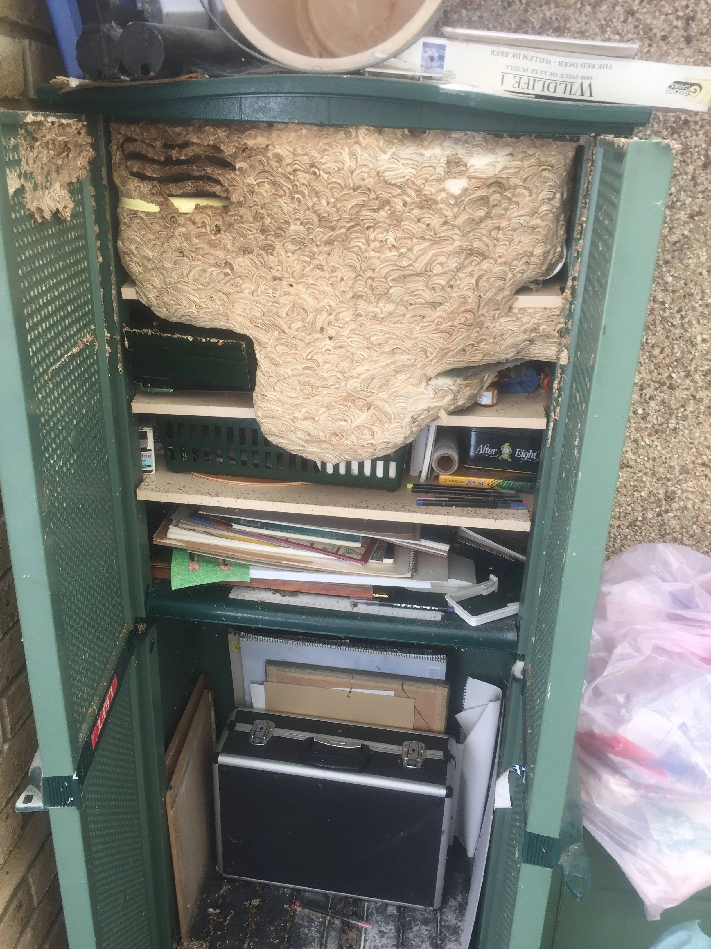 An open green metal storage cabinet filled with various tools, papers, and objects, with a wasps nest at the top, situated outdoors on a concrete surface.
