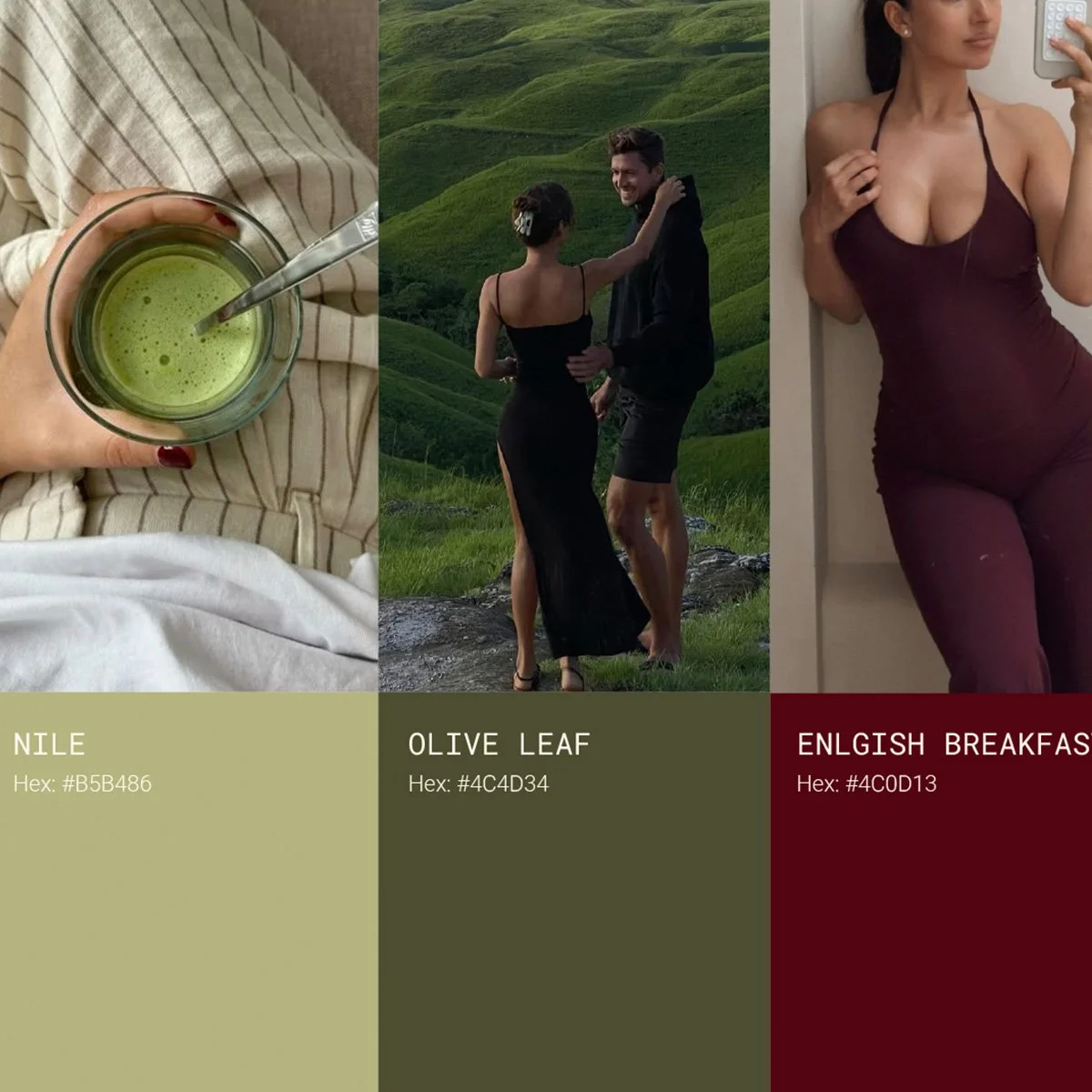 Allysha color palette.jpg
