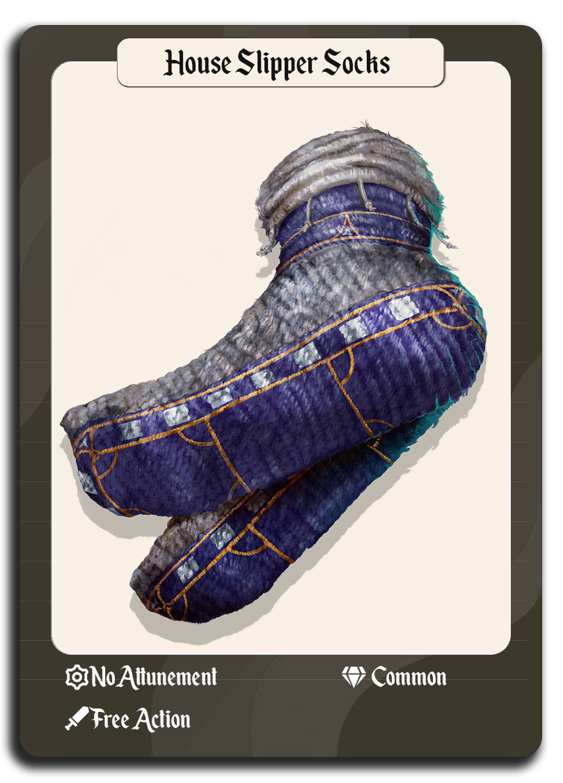 House Slipper Socks