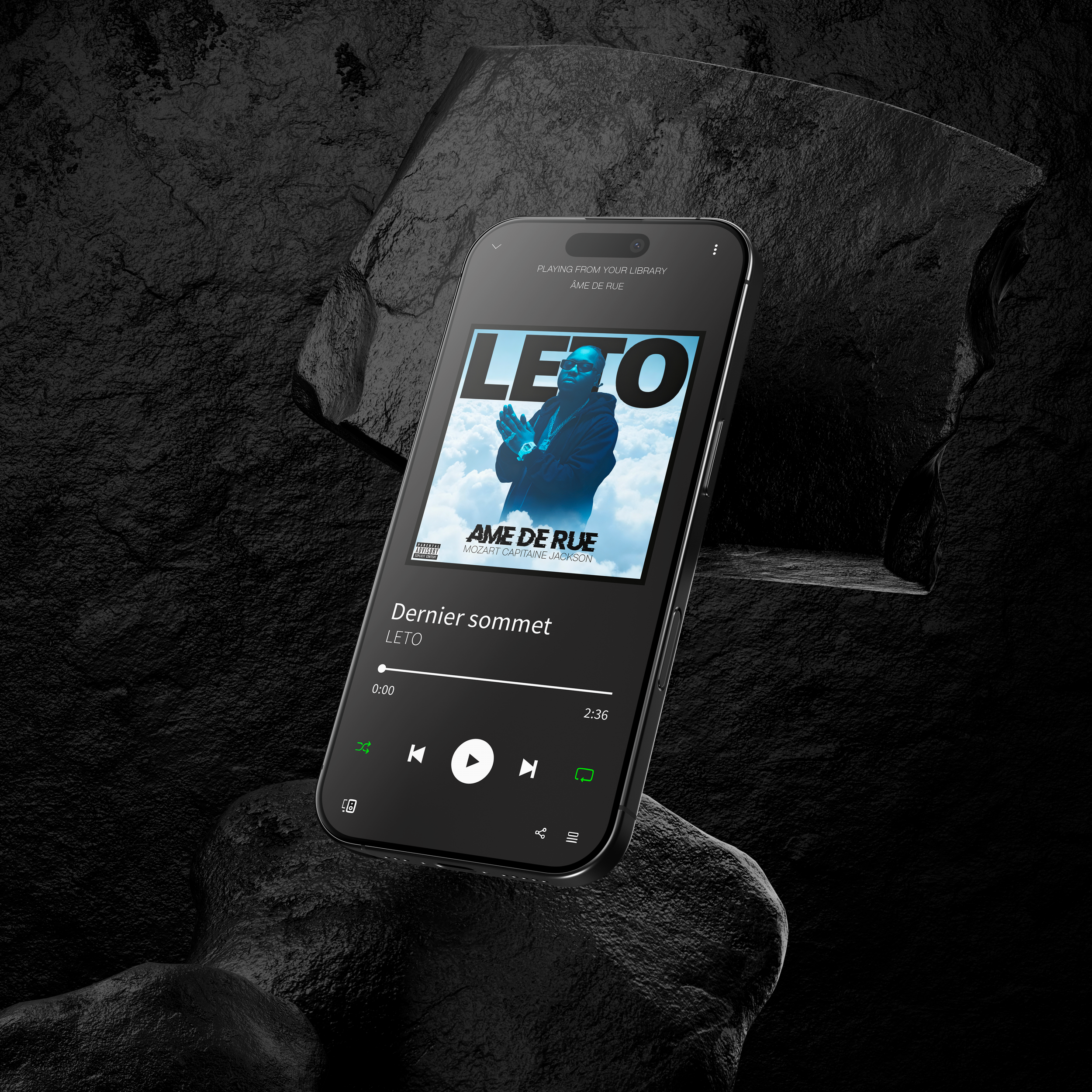 iPhone with Stones Mockup DKgoodart.PNG