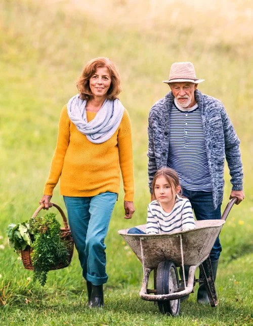 Why Estate Planning Matters