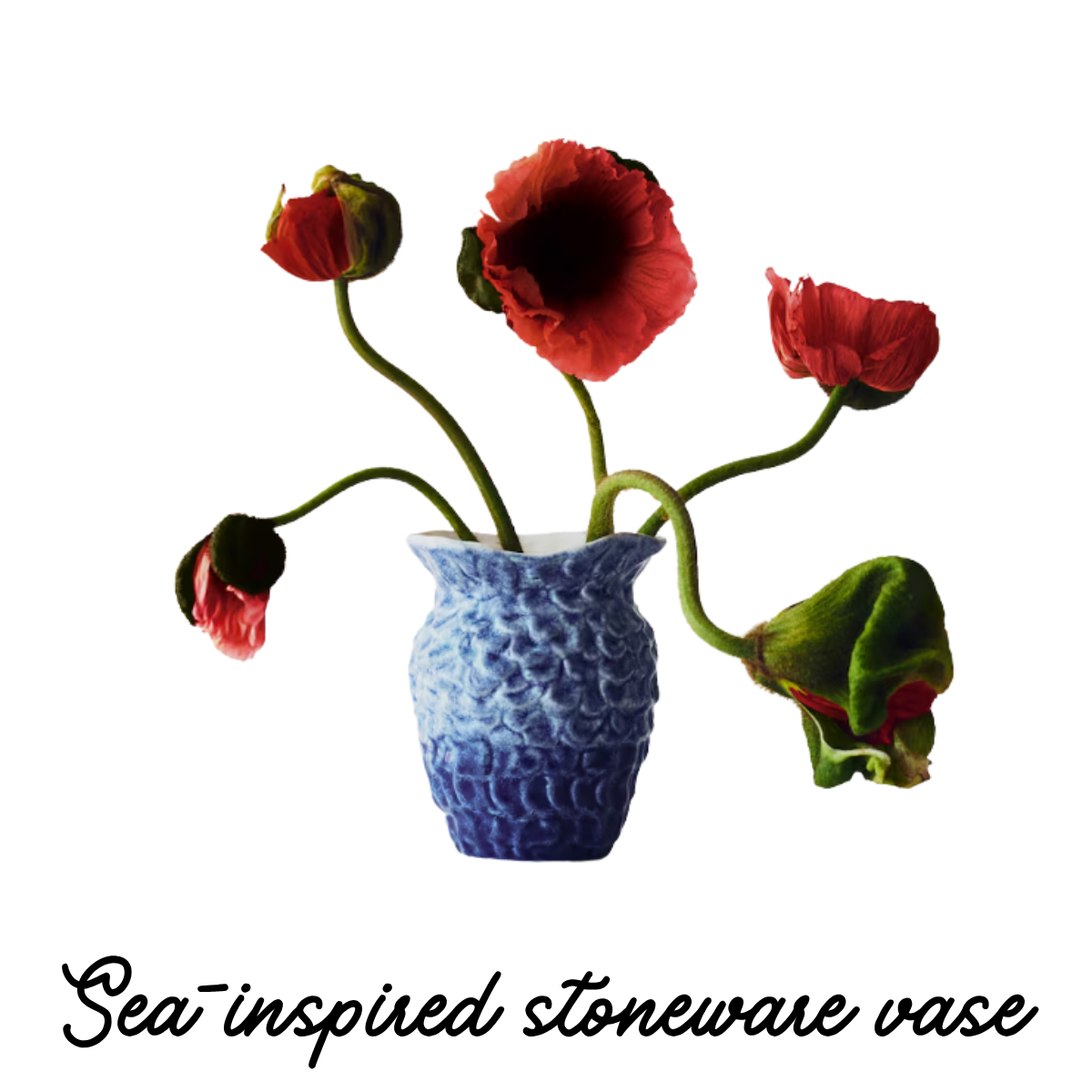 A blue and white ceramic vase containing five wilted red flowers with green stems and buds.
