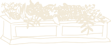Hand-drawn Beacon Hill window box