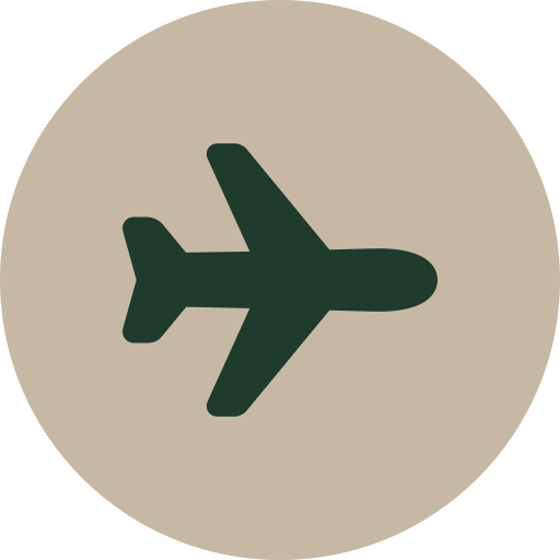 Icon of an airplane on a beige circular background.