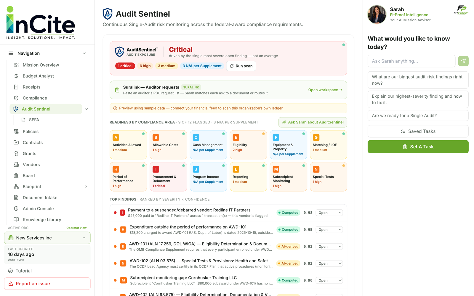 Screenshot of an audit management dashboard titled 'Audit Sentinel' showing risk levels and compliance areas, with a sidebar menu on the left, a chat box on the right, and a section listing top findings related to supplier payments and audits.