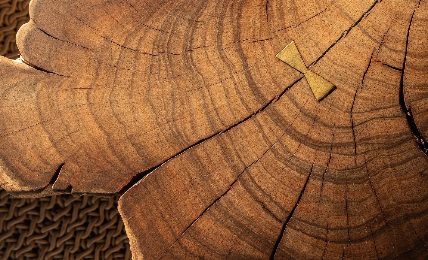 Close-up of a wooden log cross-section with a small gold bow-shaped object placed on its surface.