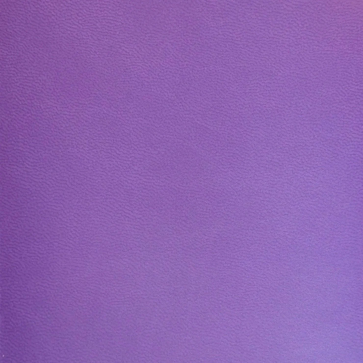 Siena viola