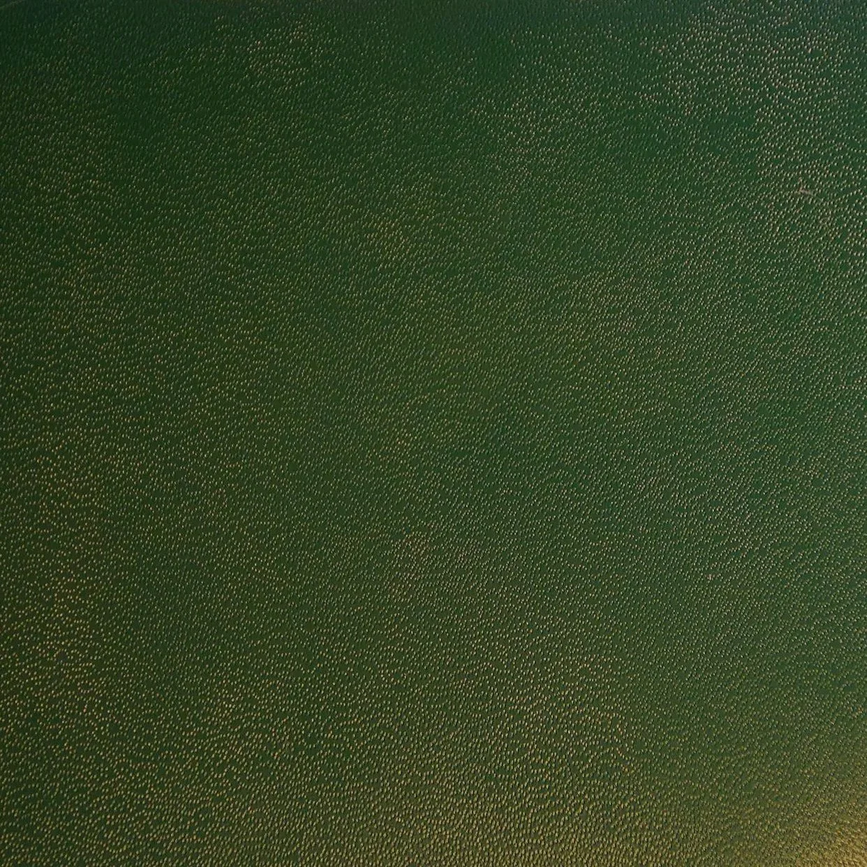 Eco-pelle verde
