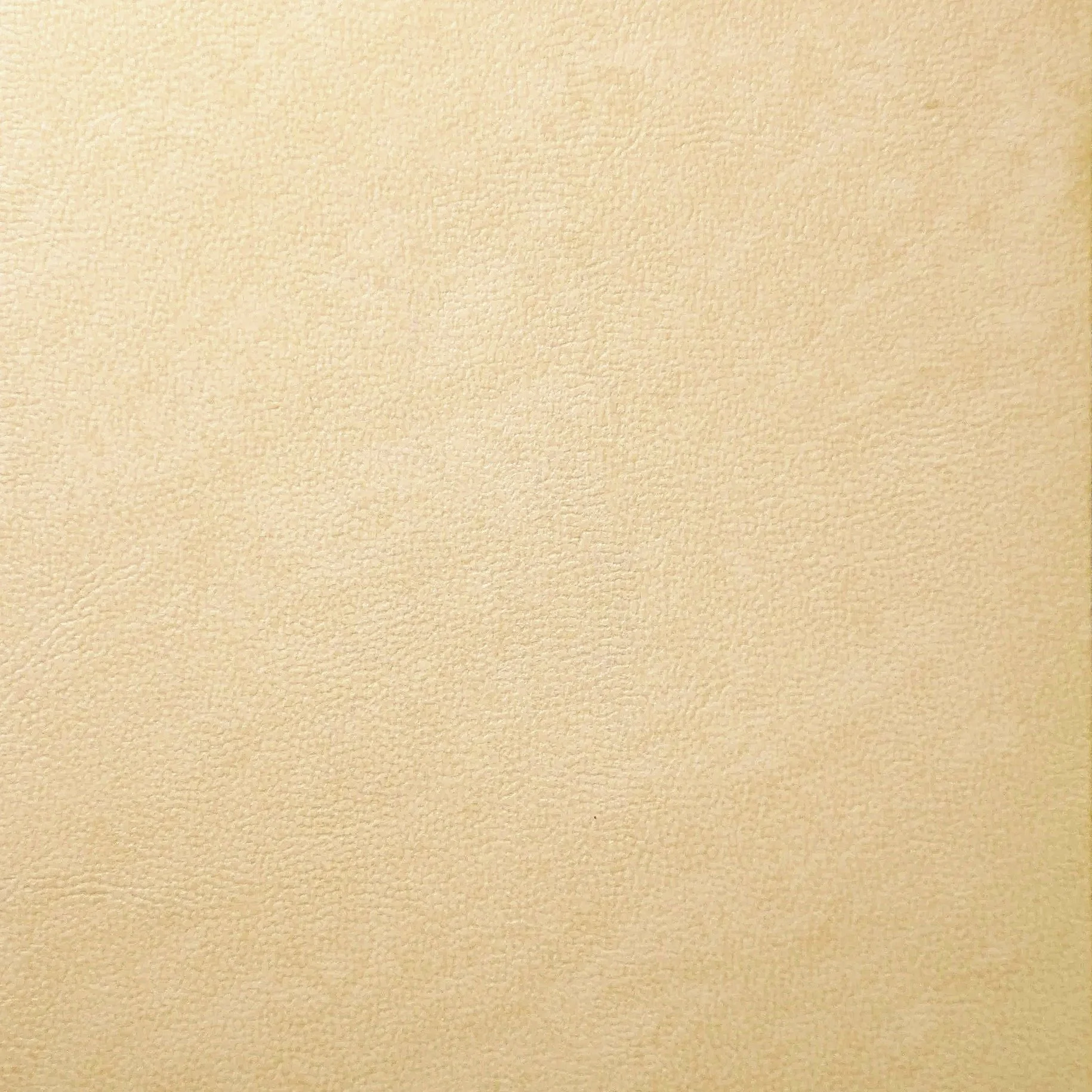 Materiale da rilegatura in eco-pelle marmo avorio