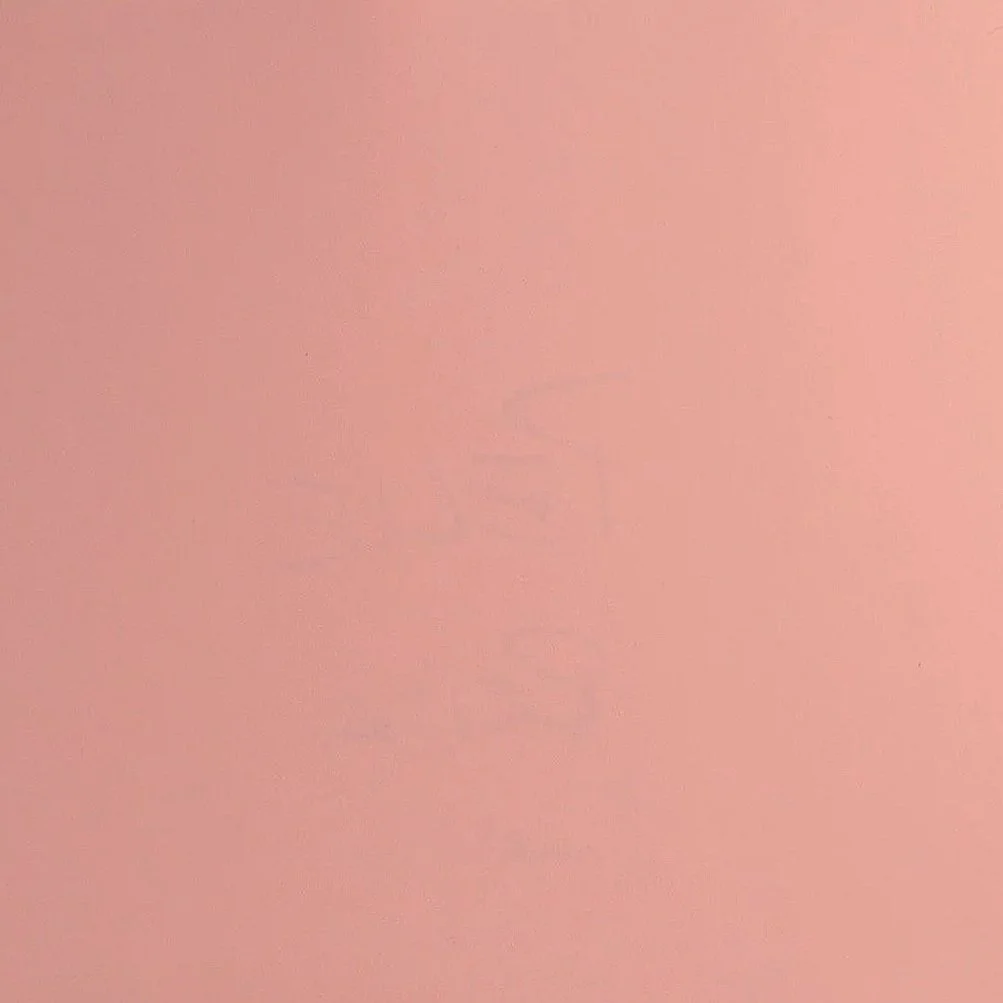Eco-pelle liscia rosa