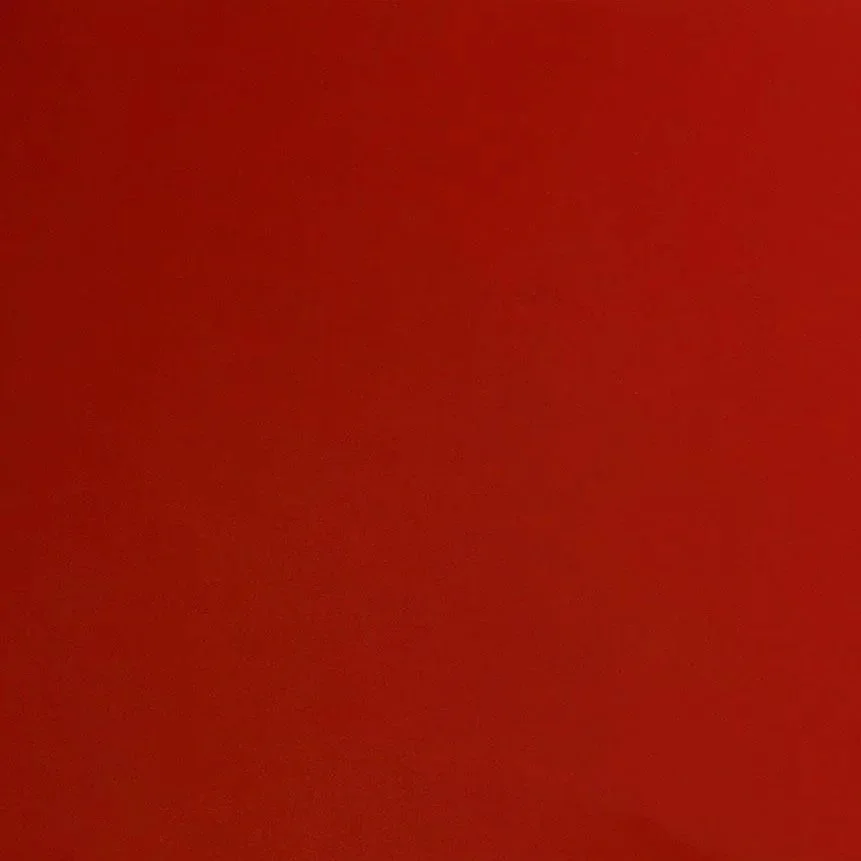 Eco-pelle liscia rossa