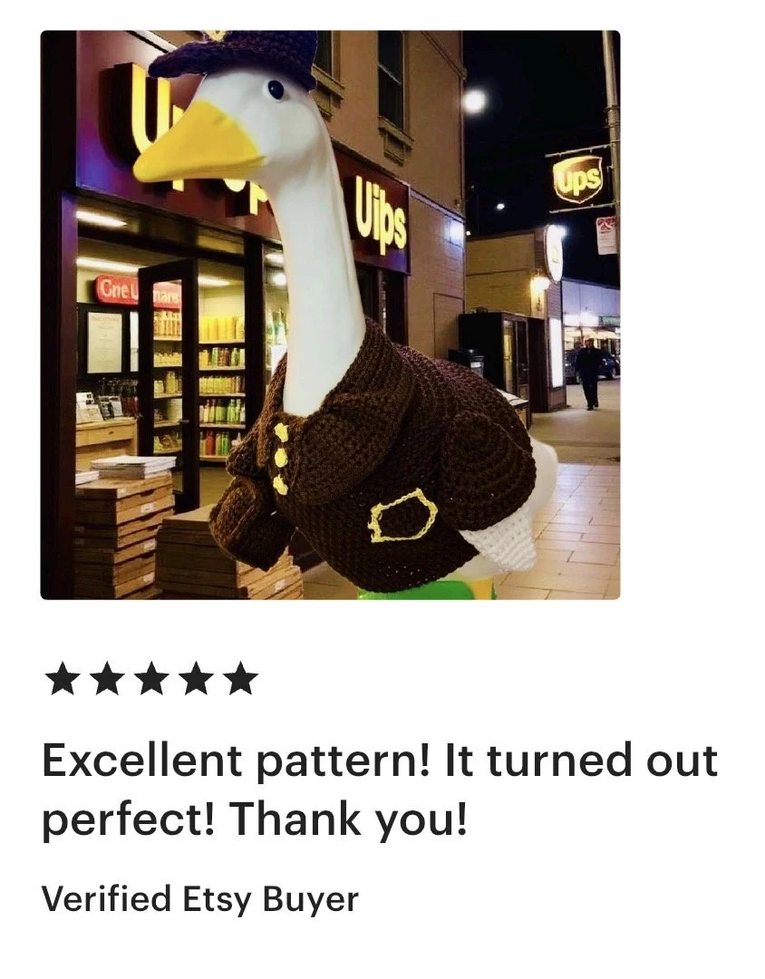 A large goose statue dressed in a brown crocheted jacket with a pocket and decorative buttons, standing outside a store at night. The store has a sign that reads 'Uups' and shelves with books visible through the window.