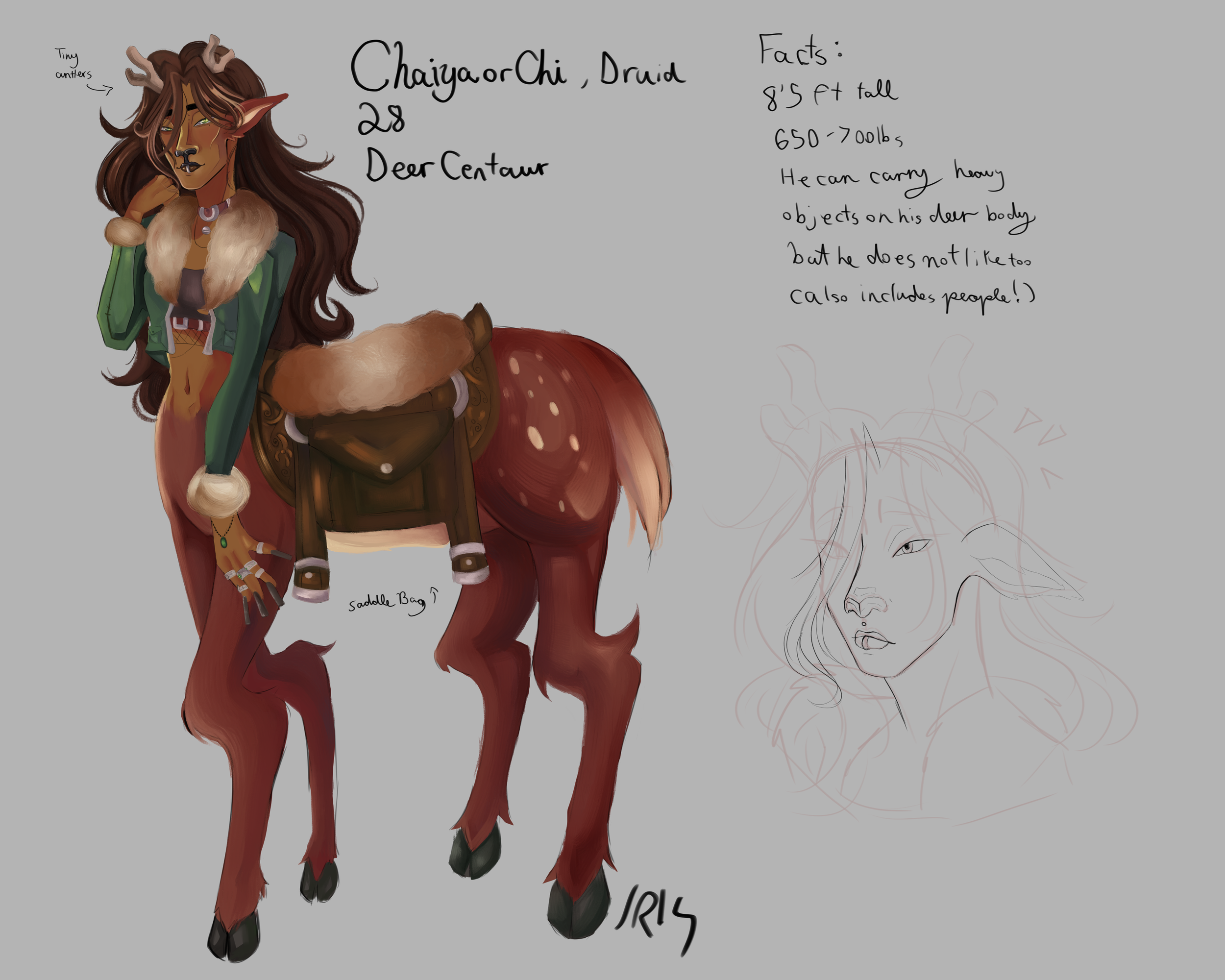 druid chi 2.png