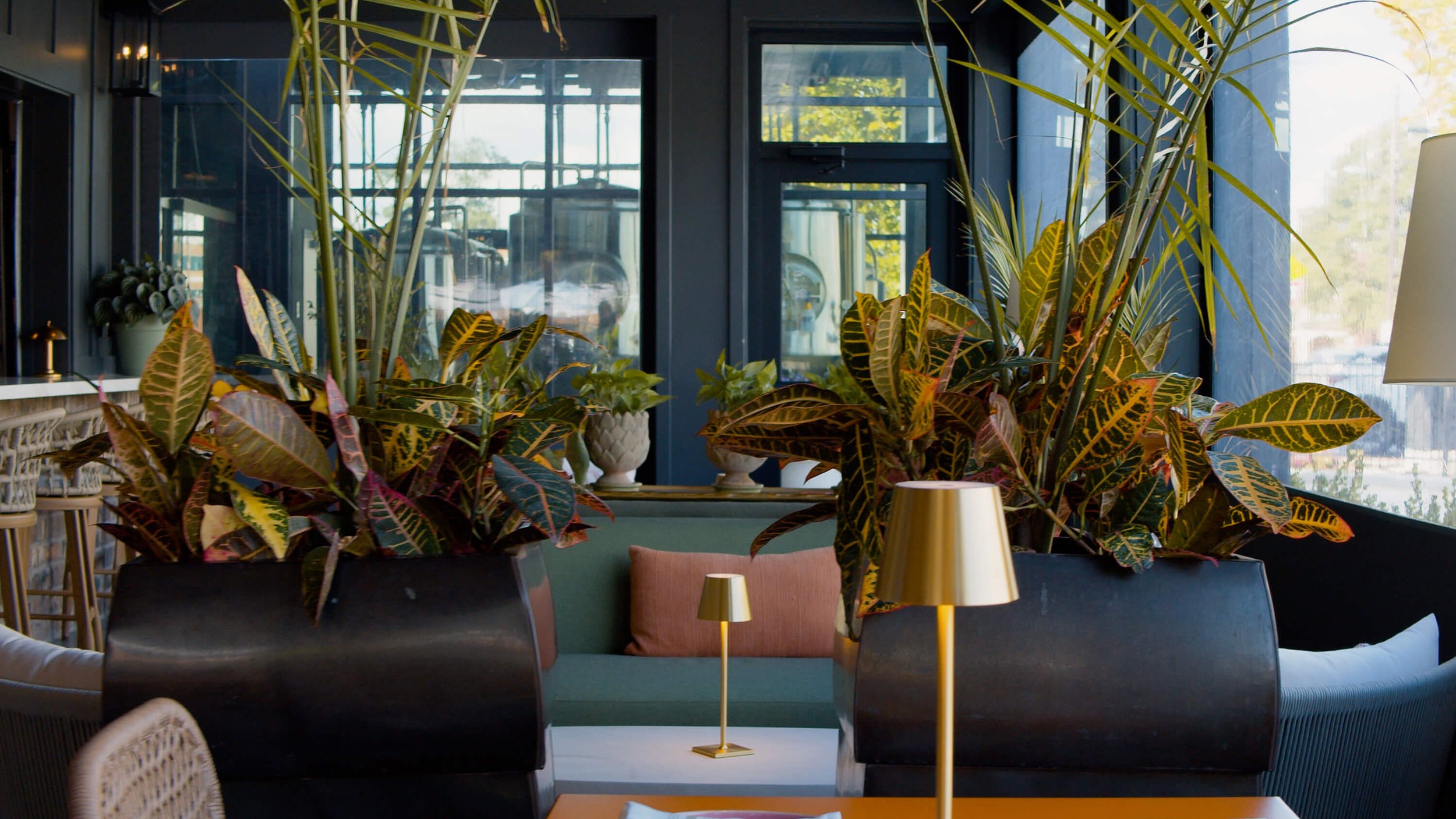 Indoor seating area with large potted plants, a sofa with pillows, a small table with lamps, and dark window frames showing an outdoor view.