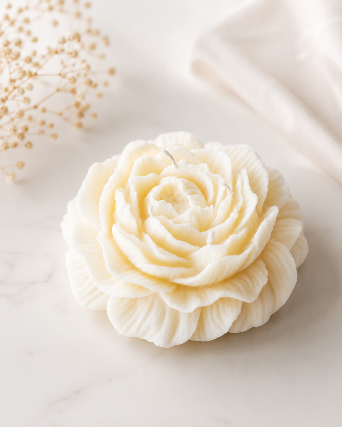 Peony Flower