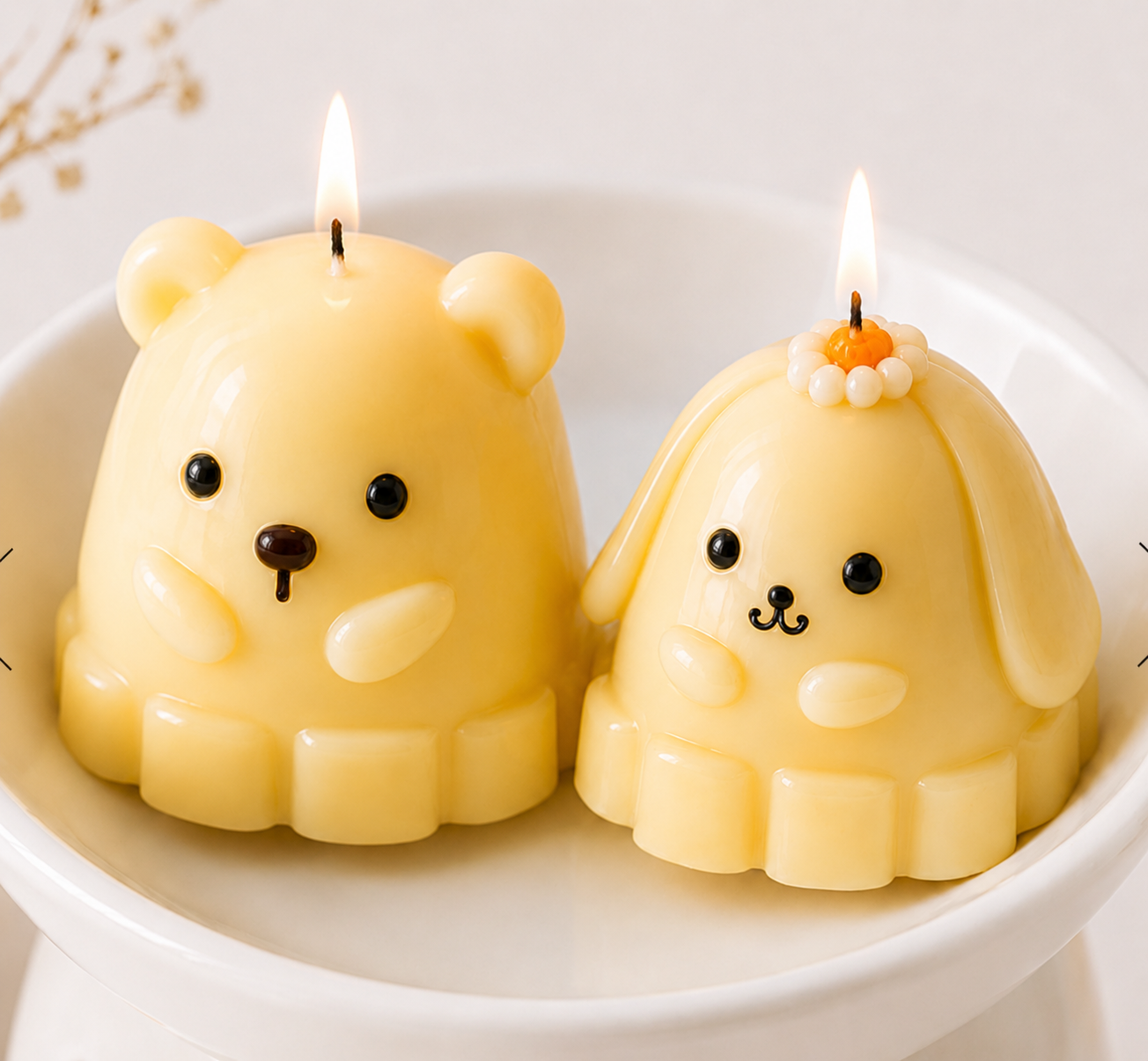 Fluffy Pair Bears