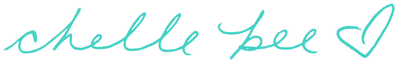 chelle bee signature