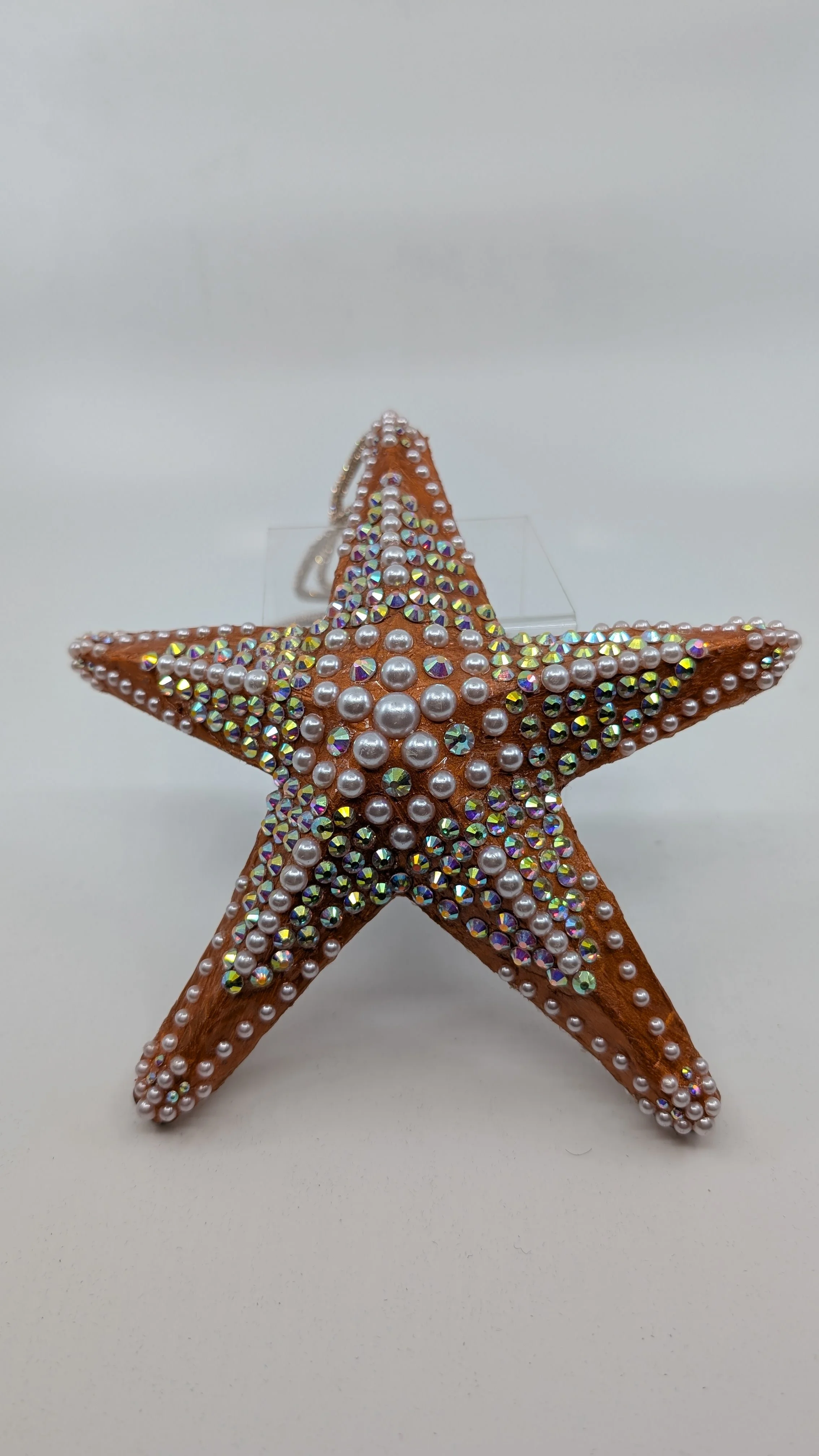 chelle-bee-nyc-starfish-harness-neckalace-107.jpg