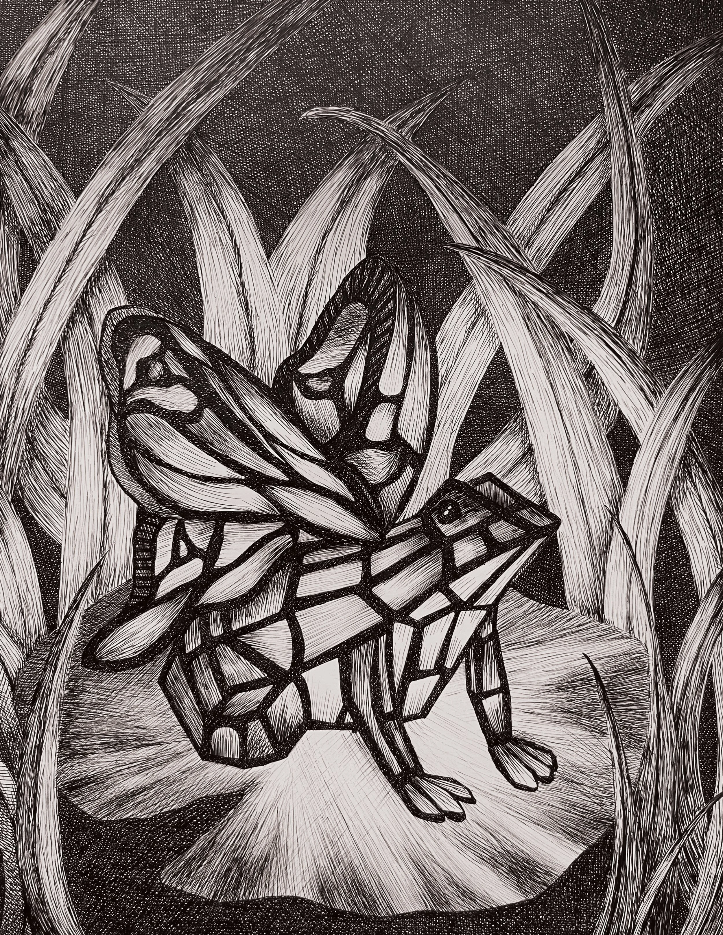 Frog Lamp 12"x16"- Uniball ink pen on illustration board