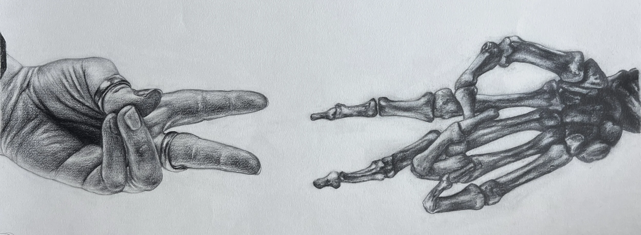 Rock Paper Scissors Hands 11"x 24"- graphite and charcoal pencil