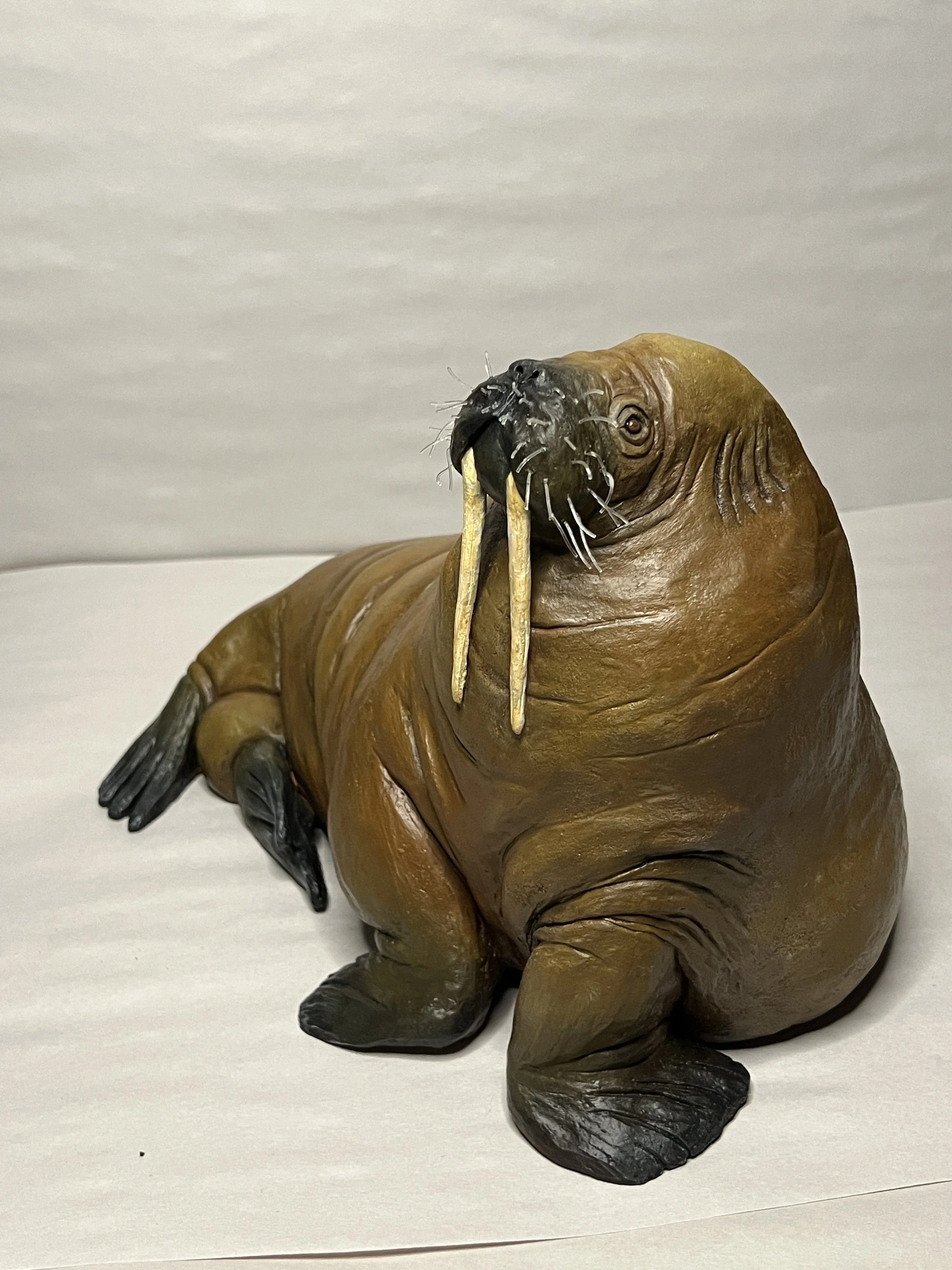 Walrus "Rus" Sculpture, 12" long- water based clay, acrylic paint, and clear nail polish for the eyes