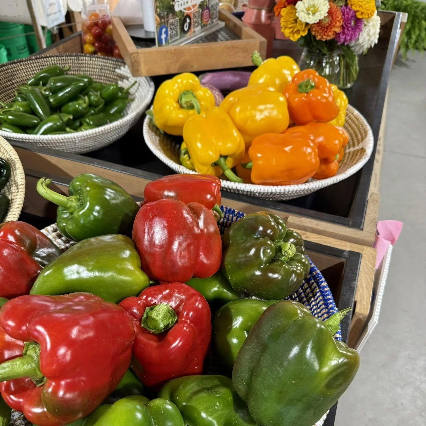 Peppers_Ankley Farms.jpg